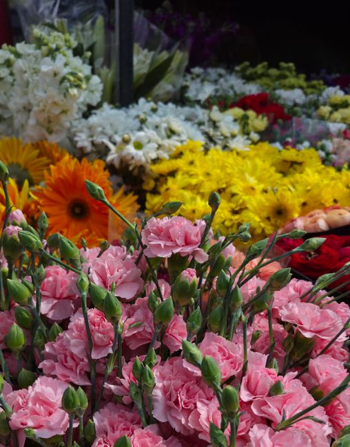 https://floristplaistow.co.uk/blog/hidden-floral-market-spots-in-plaistow-e13-for-fresh-stems/