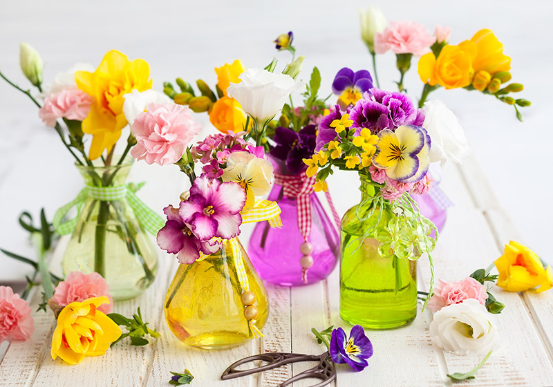 flowers flowers  / true flowers
