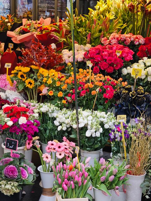 A vibrant display of fresh flowers at a florist shop featuring a variety of floral arrangements. In the foreground, pink tulips and soft pink gerbera daisies are arranged in white buckets, while purpl