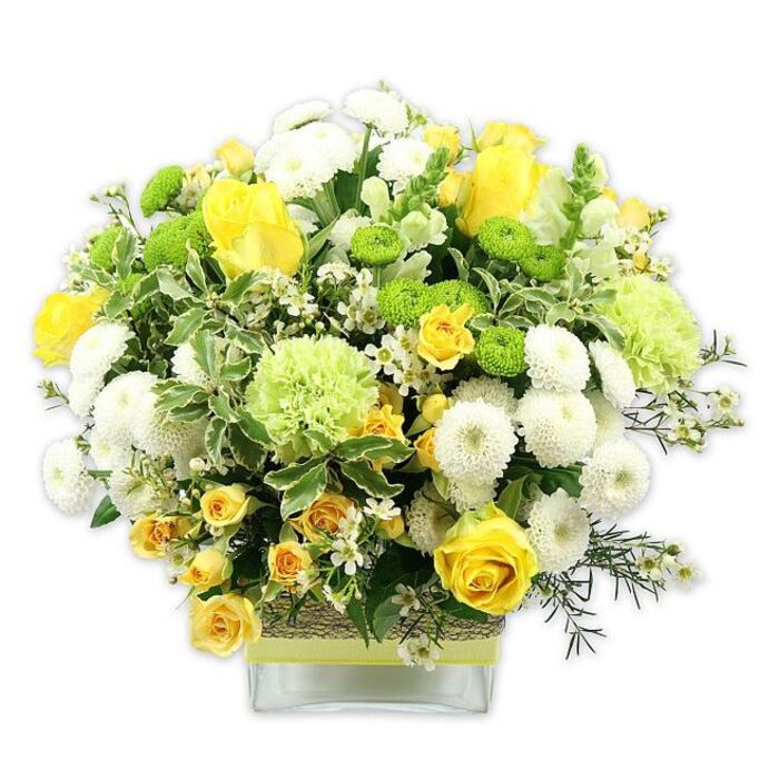 This image shows a carefully crafted, dome-shaped bouquet brimming with sunny yellow, crisp white, and vivid green flowers, arranged in a contemporary, square glass vase set against a simple white background. The composition feels both structured and soft, as if it has been thoughtfully designed by a local Plaistow florist who understands the balance between elegance and everyday joy. Generous yellow roses play the starring role, some fully open with layers of silky petals curving outward, others still in bud, promising more colour to come. Tucked around them, clusters of yellow spray roses provide smaller bursts of gold, filling the gaps and giving the arrangement a lush, abundant appearance. White pompom chrysanthemums and other dense, button-style white blooms create rounded tufts of petals that look almost cushiony, bringing a sense of calm and purity. Interspersed between them are bright lime green button chrysanthemums, neat and spherical, adding a lively contrast, while larger light green blooms-resembling ruffled carnations or specialty green mums-soften the transitions with their frilly texture. A rich collar of mixed greenery surrounds and threads through the bouquet: broad variegated leaves edged in pale cream, slender darker stems, and delicate filler foliage that adds airiness without losing fullness. Tiny, star-shaped white filler flowers sparkle between the larger heads, lending a lace-like delicacy. The square glass vase, low and sturdy, is wrapped midway with a rustic, bark-like or woven fibre band, over which a lime green ribbon is tied cleanly around the circumference, echoing the bright greens in the flowers. This arrangement radiates happiness and renewal, the sort of uplifting display you might send for a birthday in E13, to celebrate an exam result, or to welcome a new baby home to a Plaistow terrace, bringing a fresh burst of nature indoors.